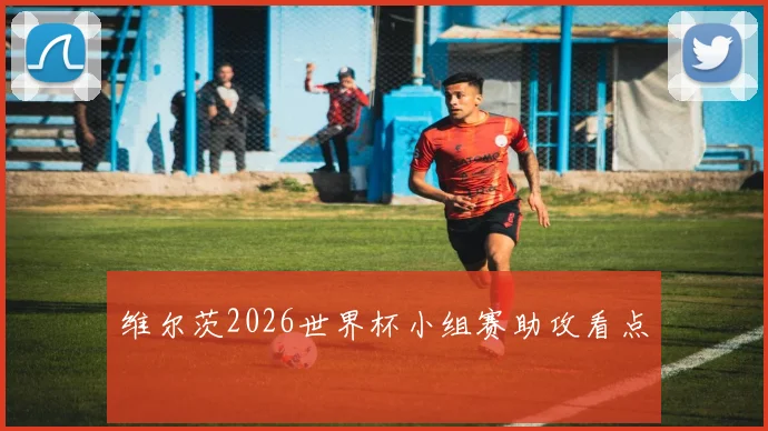 维尔茨2026世界杯小组赛助攻看点
