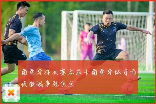 葡萄牙杯决赛本菲卡葡萄牙体育雨夜激战争冠焦点