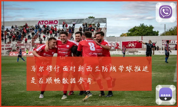 马尔穆什面对新西兰防线带球推进是否顺畅数据参考