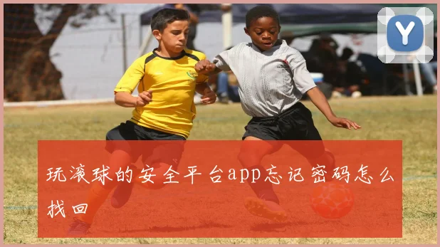 玩滚球的安全平台app忘记密码怎么找回