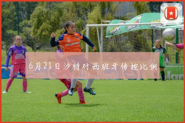 6月21日沙特对西班牙传控比例