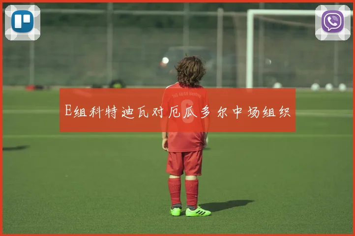 E组科特迪瓦对厄瓜多尔中场组织
