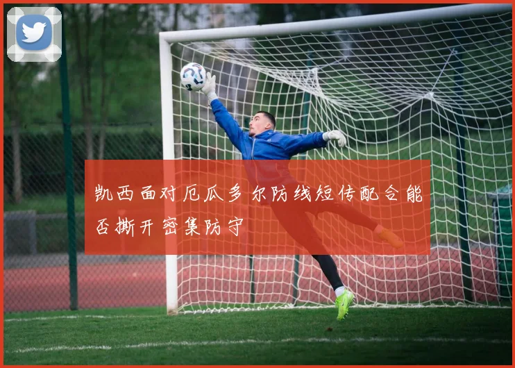凯西面对厄瓜多尔防线短传配合能否撕开密集防守